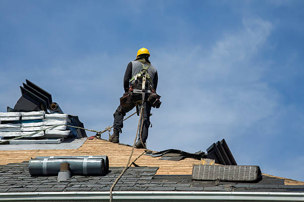 Professional Roof Replacement technician working in Wildie, KY